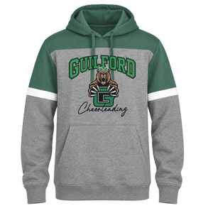 Sport Tek Drive Fleece Colorblock Hoodie - D2