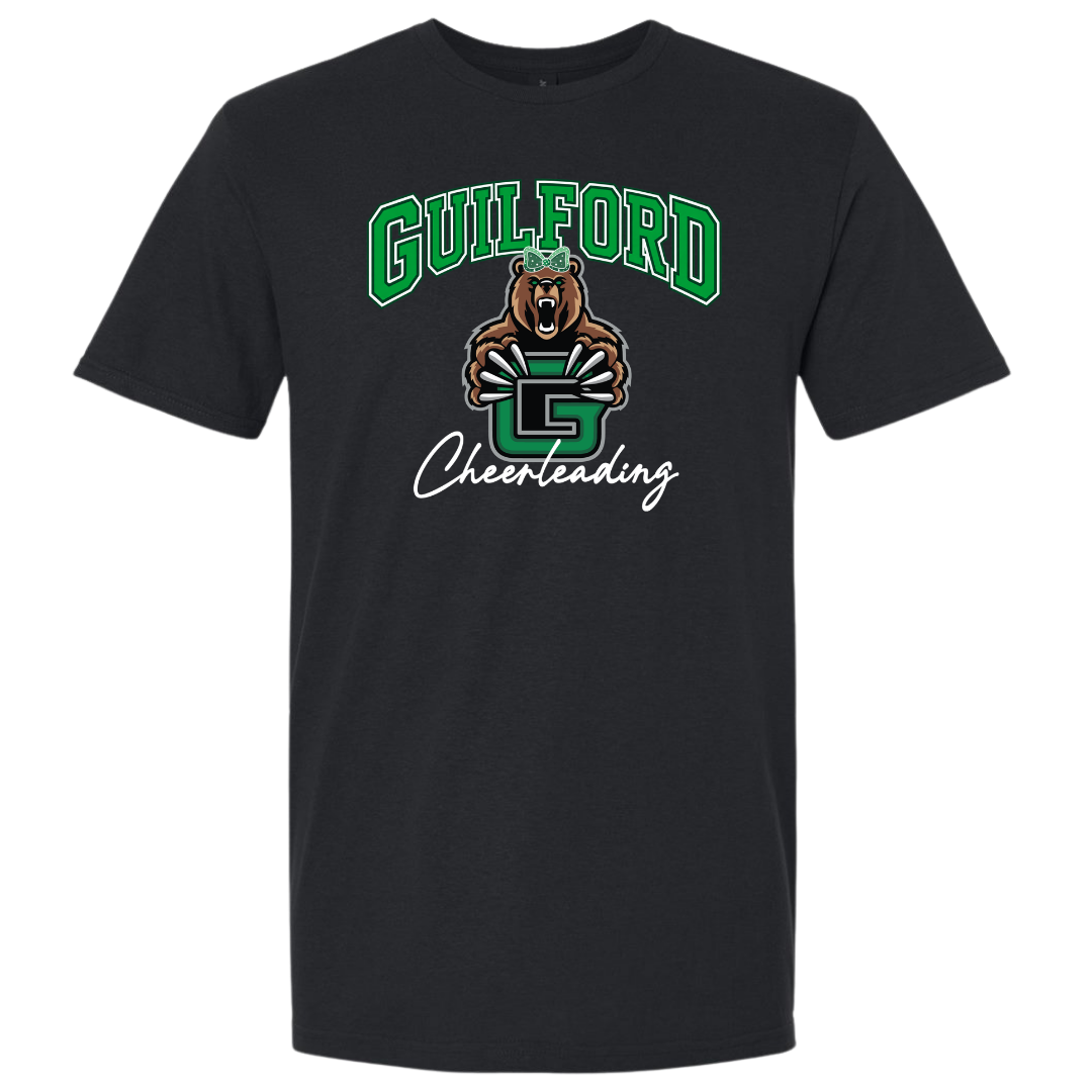 Gildan Softstyle Midweight T-Shirt - D2