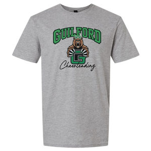 Gildan Softstyle Midweight T-Shirt - D2