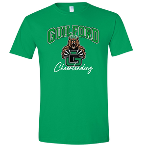 Gildan Softstyle Midweight T-Shirt - D2