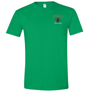 Gildan Softstyle Midweight T-Shirt - D2